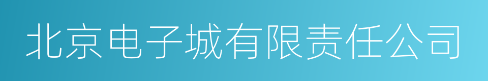 北京电子城有限责任公司的同义词