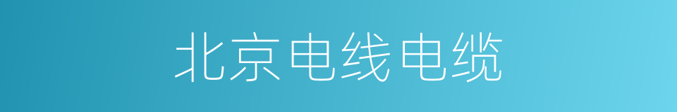 北京电线电缆的同义词