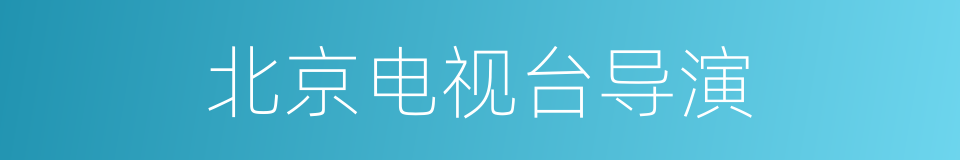 北京电视台导演的同义词