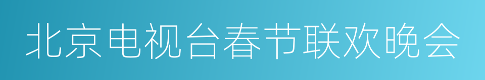 北京电视台春节联欢晚会的同义词