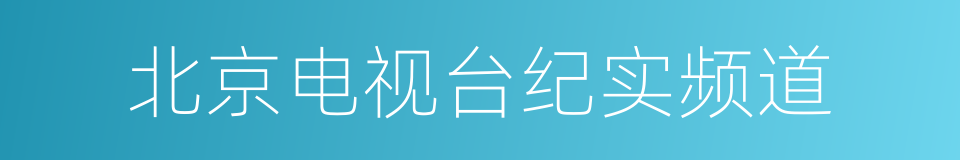 北京电视台纪实频道的同义词