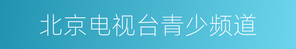 北京电视台青少频道的同义词