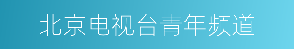 北京电视台青年频道的同义词