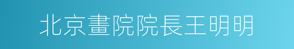 北京畫院院長王明明的同義詞