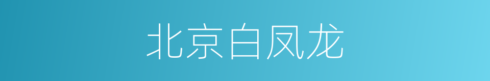 北京白凤龙的同义词