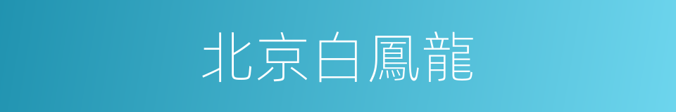 北京白鳳龍的同義詞