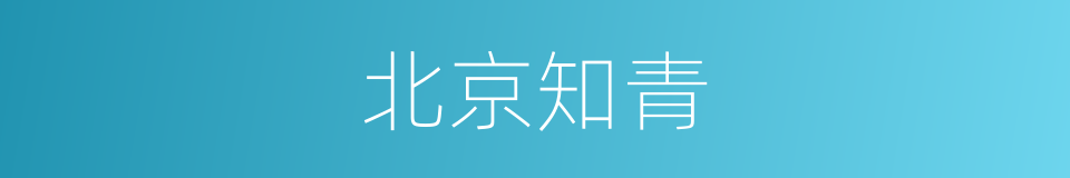 北京知青的同义词