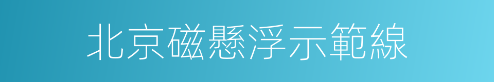 北京磁懸浮示範線的同義詞