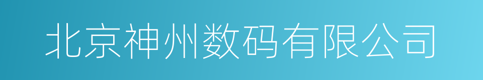 北京神州数码有限公司的同义词