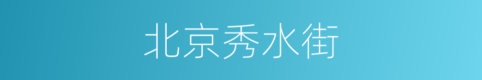 北京秀水街的同义词