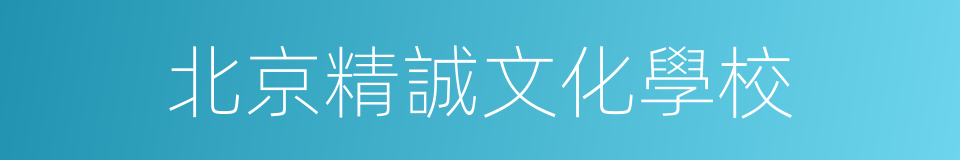 北京精誠文化學校的同義詞