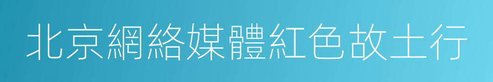 北京網絡媒體紅色故土行的同義詞
