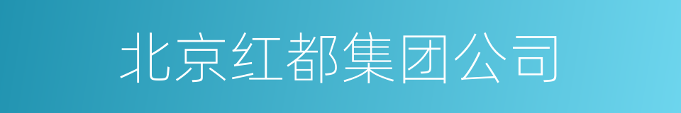 北京红都集团公司的同义词