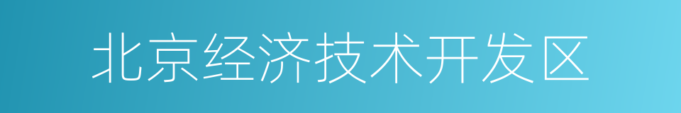 北京经济技术开发区的同义词