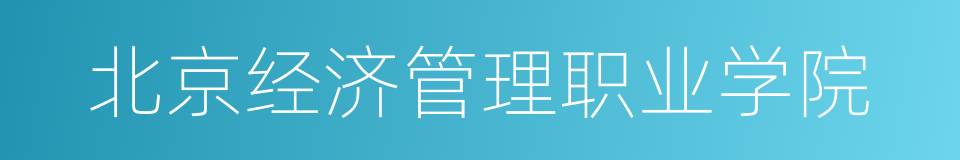 北京经济管理职业学院的同义词