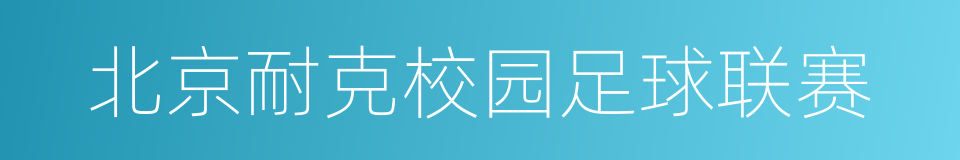 北京耐克校园足球联赛的同义词
