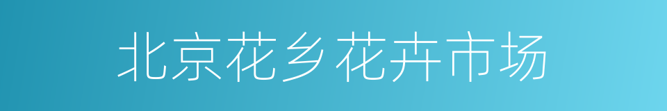 北京花乡花卉市场的同义词