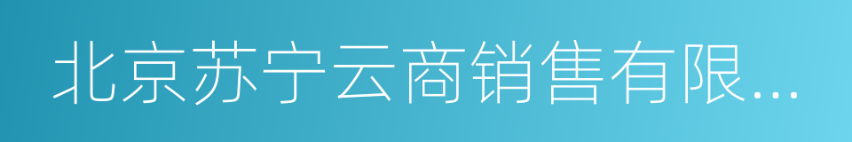 北京苏宁云商销售有限公司的同义词