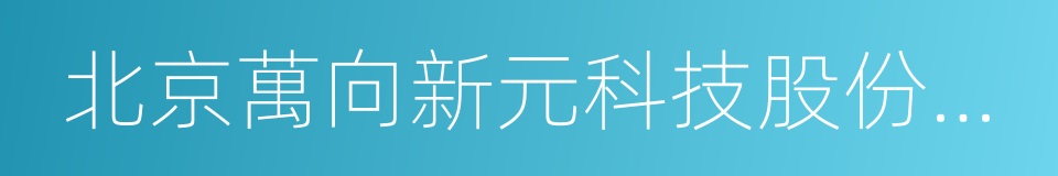 北京萬向新元科技股份有限公司的同義詞