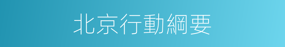 北京行動綱要的同義詞