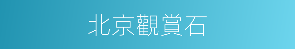 北京觀賞石的同義詞