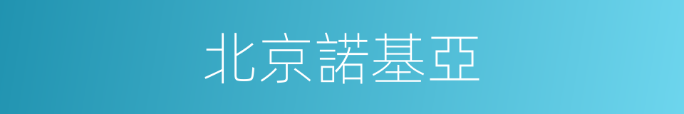 北京諾基亞的同義詞
