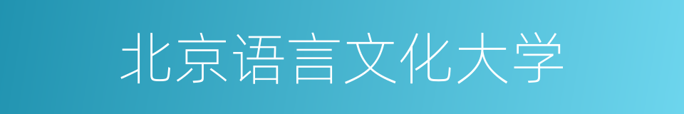 北京语言文化大学的同义词