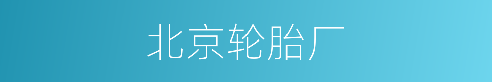 北京轮胎厂的同义词