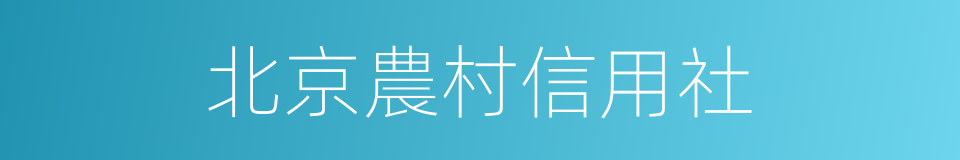 北京農村信用社的同義詞