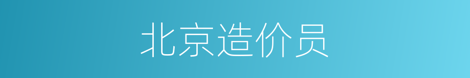 北京造价员的同义词
