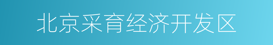 北京采育经济开发区的同义词