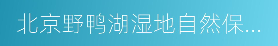 北京野鸭湖湿地自然保护区的同义词