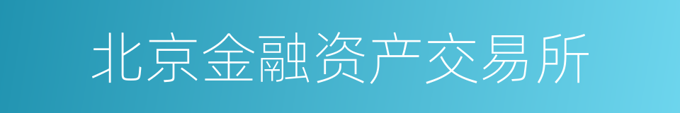 北京金融资产交易所的同义词