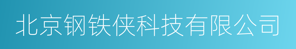 北京钢铁侠科技有限公司的同义词