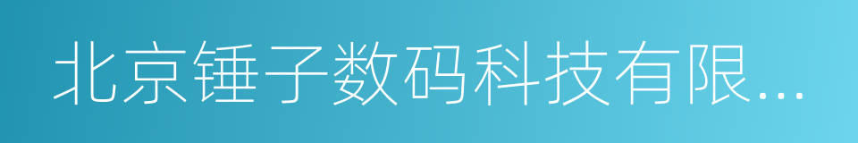 北京锤子数码科技有限公司的同义词