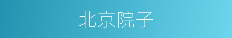 北京院子的同义词