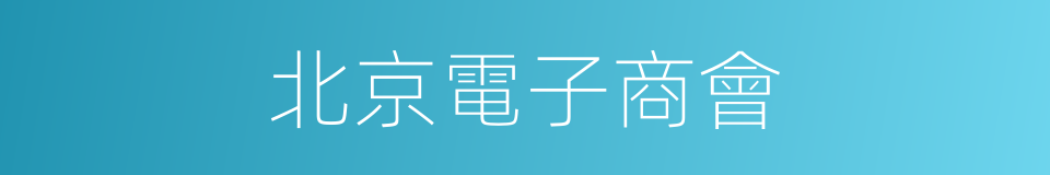 北京電子商會的同義詞