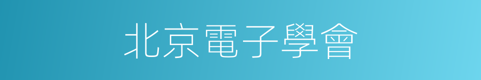 北京電子學會的同義詞
