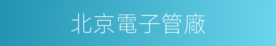 北京電子管廠的同義詞