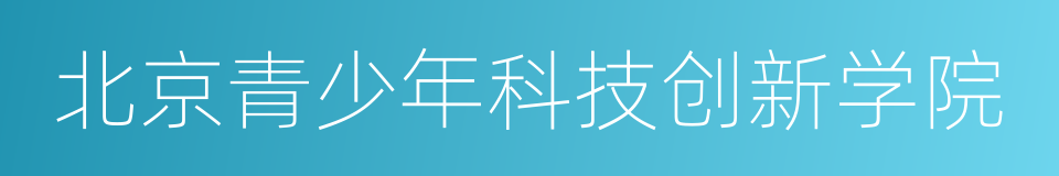 北京青少年科技创新学院的同义词