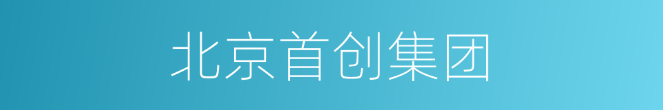 北京首创集团的同义词