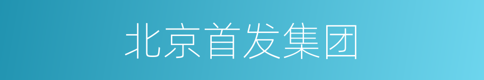 北京首发集团的同义词