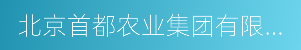 北京首都农业集团有限公司的同义词