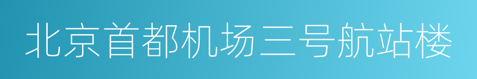 北京首都机场三号航站楼的同义词