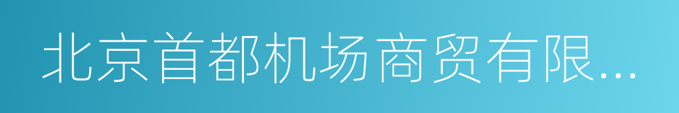 北京首都机场商贸有限公司的同义词