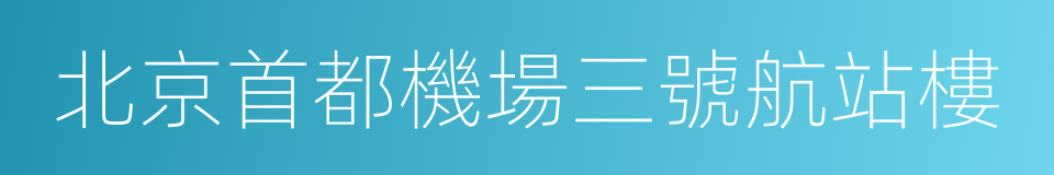 北京首都機場三號航站樓的同義詞