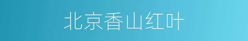 北京香山红叶的同义词