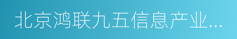 北京鸿联九五信息产业有限公司的同义词