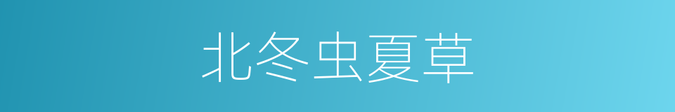 北冬虫夏草的同义词