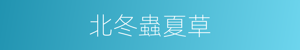 北冬蟲夏草的同義詞